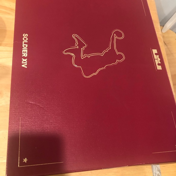 lebron - Picture 5 of 6